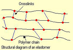 cross-links of vulcanized rubber